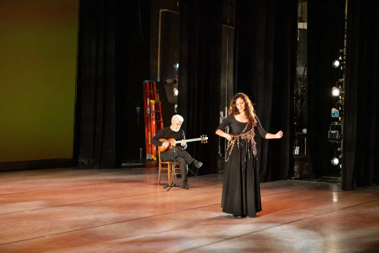 Banafsheh Amiri singing and dancing with a live Tar musician in Faryad